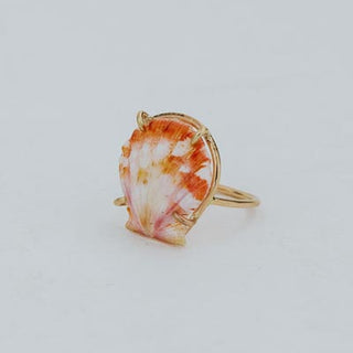 Prong Set Sunrise Shell Ring - GF