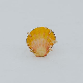 Prong Set Sunrise Shell Ring - GF