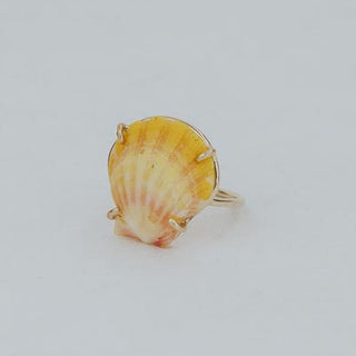 Prong Set Sunrise Shell Ring - GF