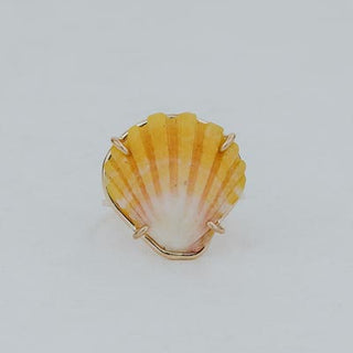 Prong Set Sunrise Shell Ring - GF