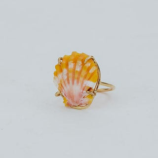 Prong Set Sunrise Shell Ring - GF