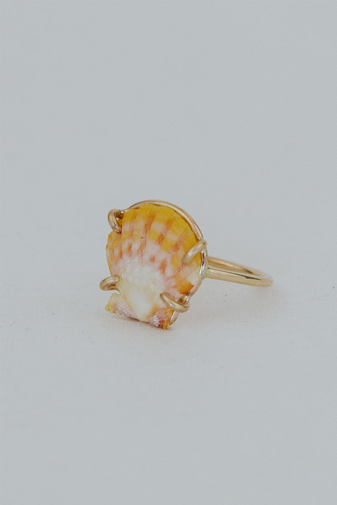 Prong Set Sunrise Shell Ring – Wings Hawai'i