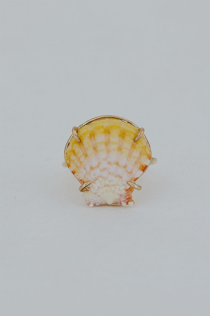 Prong Set Sunrise Shell Ring – Wings Hawai'i
