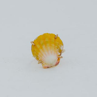 Prong Set Sunrise Shell Ring - GF