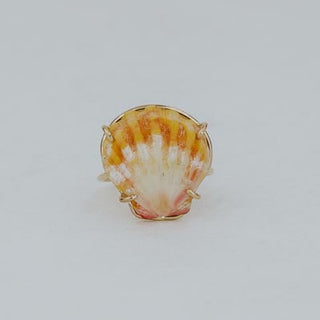 Prong Set Sunrise Shell Ring - GF