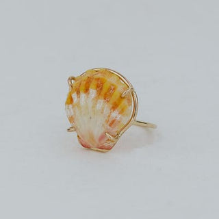 Prong Set Sunrise Shell Ring - GF