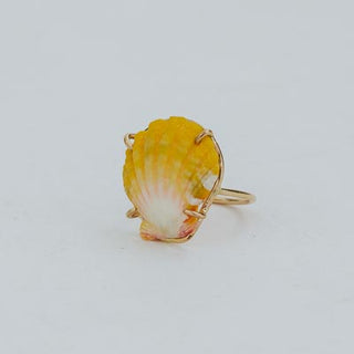 Prong Set Sunrise Shell Ring - GF