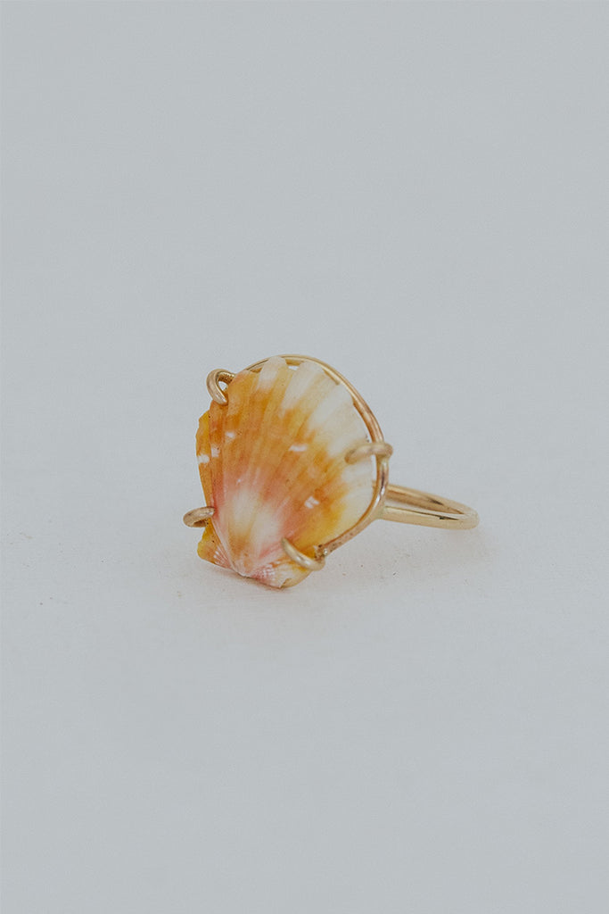 Prong Set Sunrise Shell Ring – Wings Hawai'i