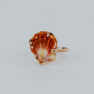 Sunrise Shell Ring - 14k Rose Gold