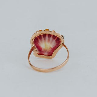 Sunrise Shell Ring - 14k Rose Gold