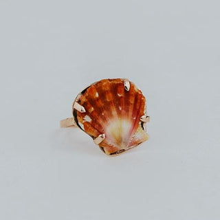 Sunrise Shell Ring - 14k Rose Gold