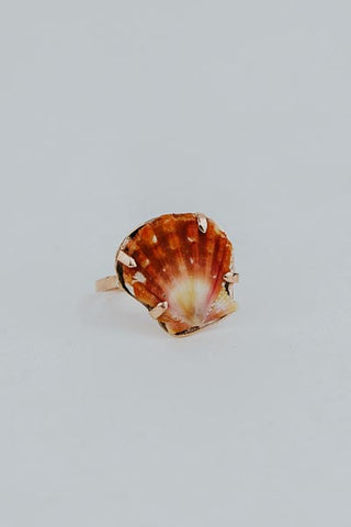 Sunrise Shell Ring - 14k Rose Gold
