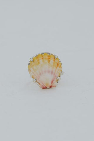 Prong Set Sunrise Shell Ring - SS
