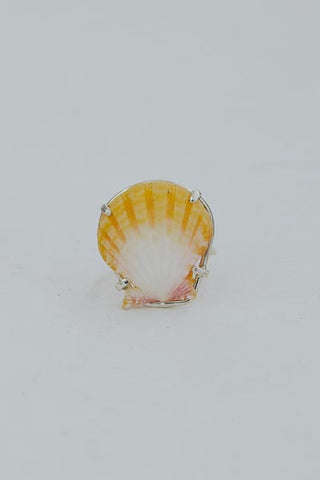 Prong Set Sunrise Shell Ring - SS