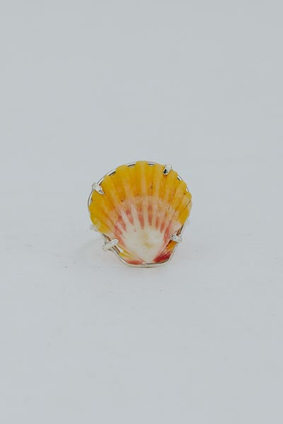 Prong Set Sunrise Shell Ring - SS – Wings Hawai'i