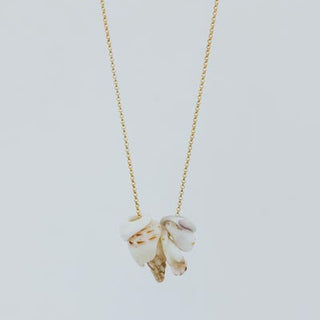 Shell Lei Slider Necklace