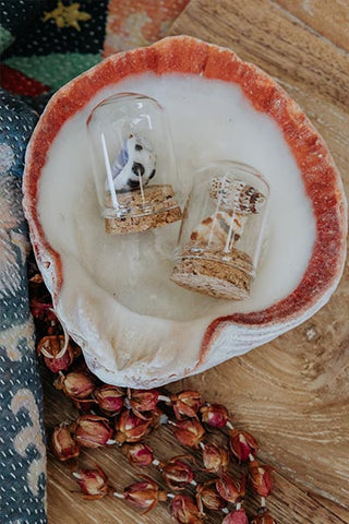 Curiosity Dome Jars