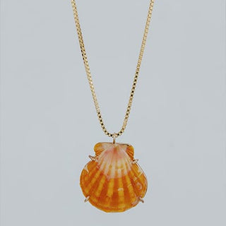 Sunrise Shell Necklace - Medium