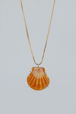 Sunrise Shell Necklace - Medium