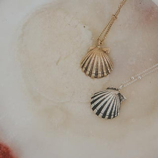 Forever Sunrise Shell Necklace