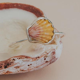 Sunrise Shell Cuff