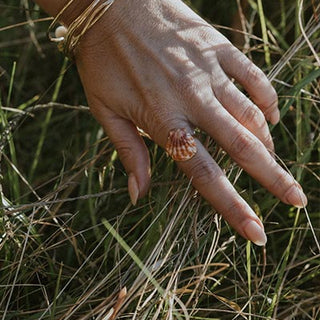 Sunrise Shell Ring - 14k Rose Gold