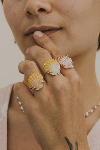 Prong Set Sunrise Shell Ring - GF