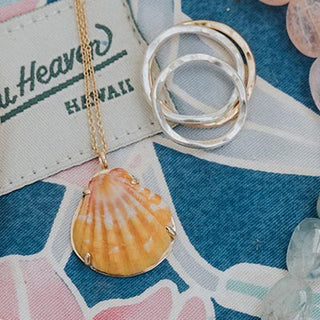 Sunrise Shell Necklace - 14k