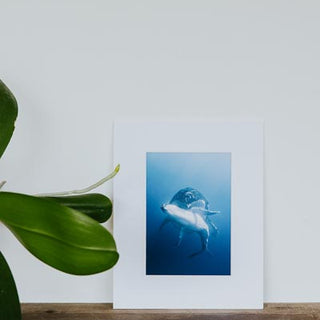 Tara Shay Photo - A Mother's Love Matted Print