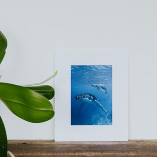 Tara Shay Photo - Mom and Baby Matted Print