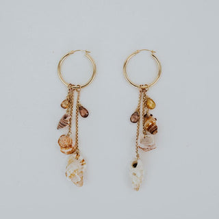 Hawaiian Seashell earrings