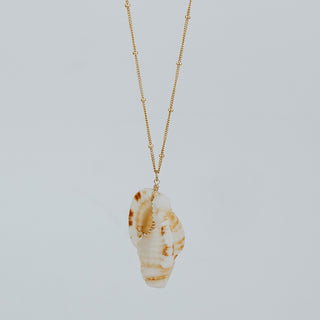 Single Shell Necklace - Triton Shell