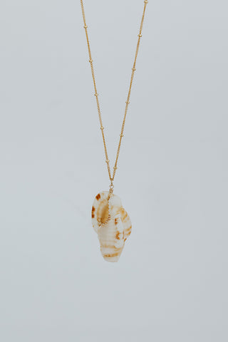 Single Shell Necklace - Triton Shell