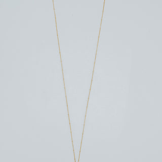 Single Shell Necklace - Triton Shell