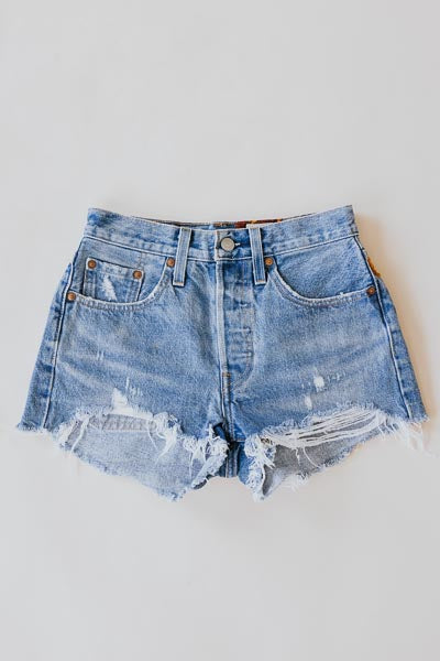 Sun Pocket Upcycled Levi's Shorts - #2 | XS