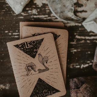 Mini Zodiac Journal